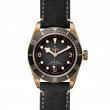 Black Bay Bronze