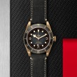 Tudor Black Bay Bronze 43mm